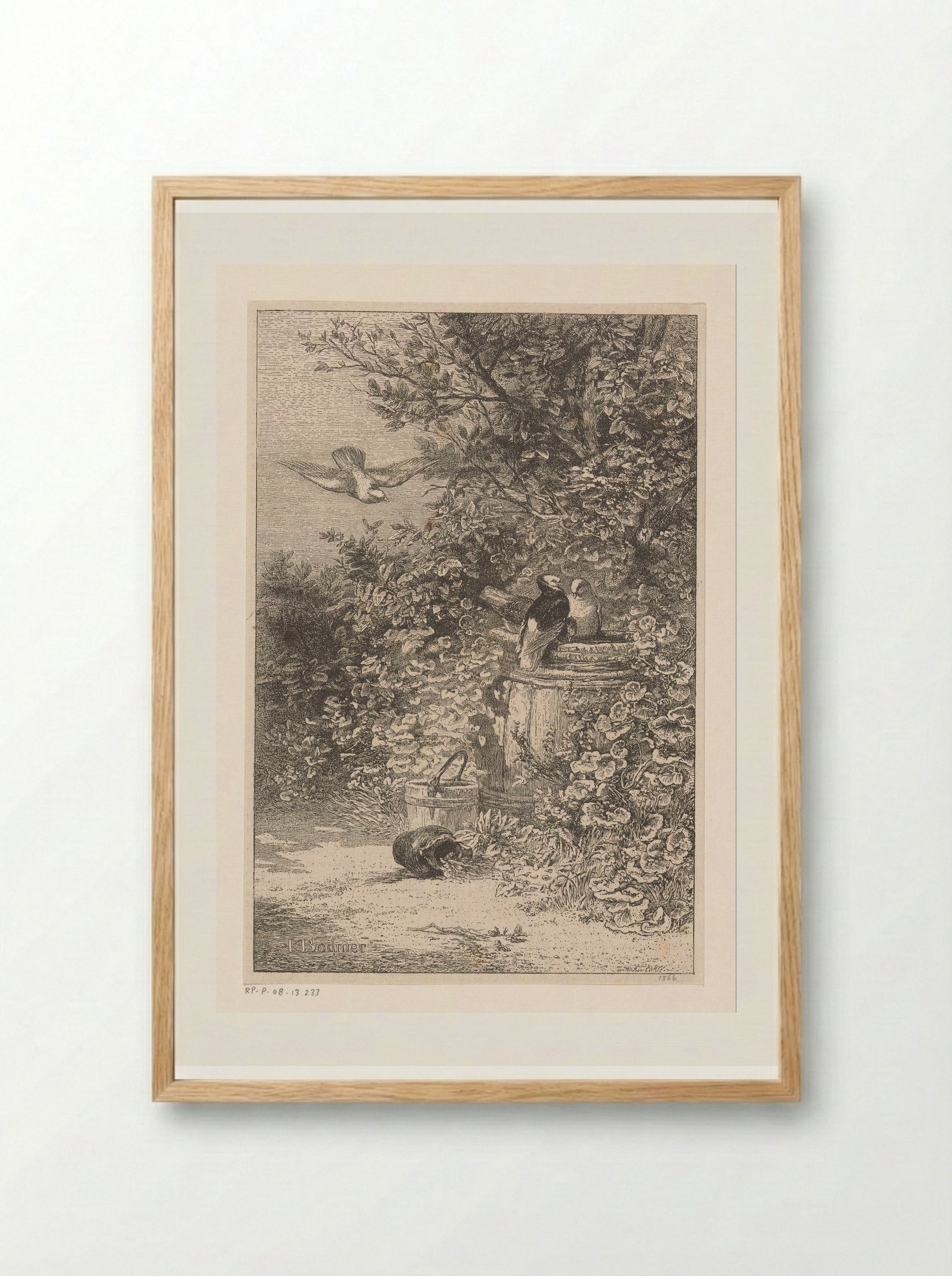 Birds by a Rain Barrel in the Undergrowth - Karl Bodmer - Framed Print Wood