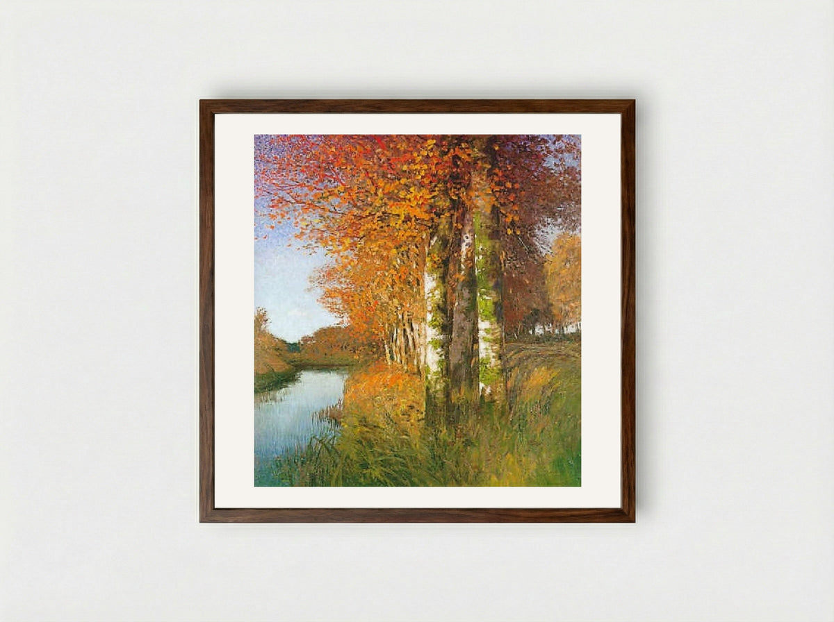 Birken am Moorgraben - Hans am Ende - Framed Print Dark Wood