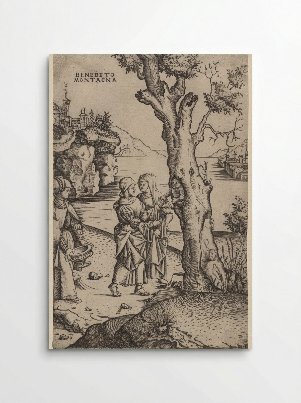 Birth of Adonis - Benedetto Montagna - Poster