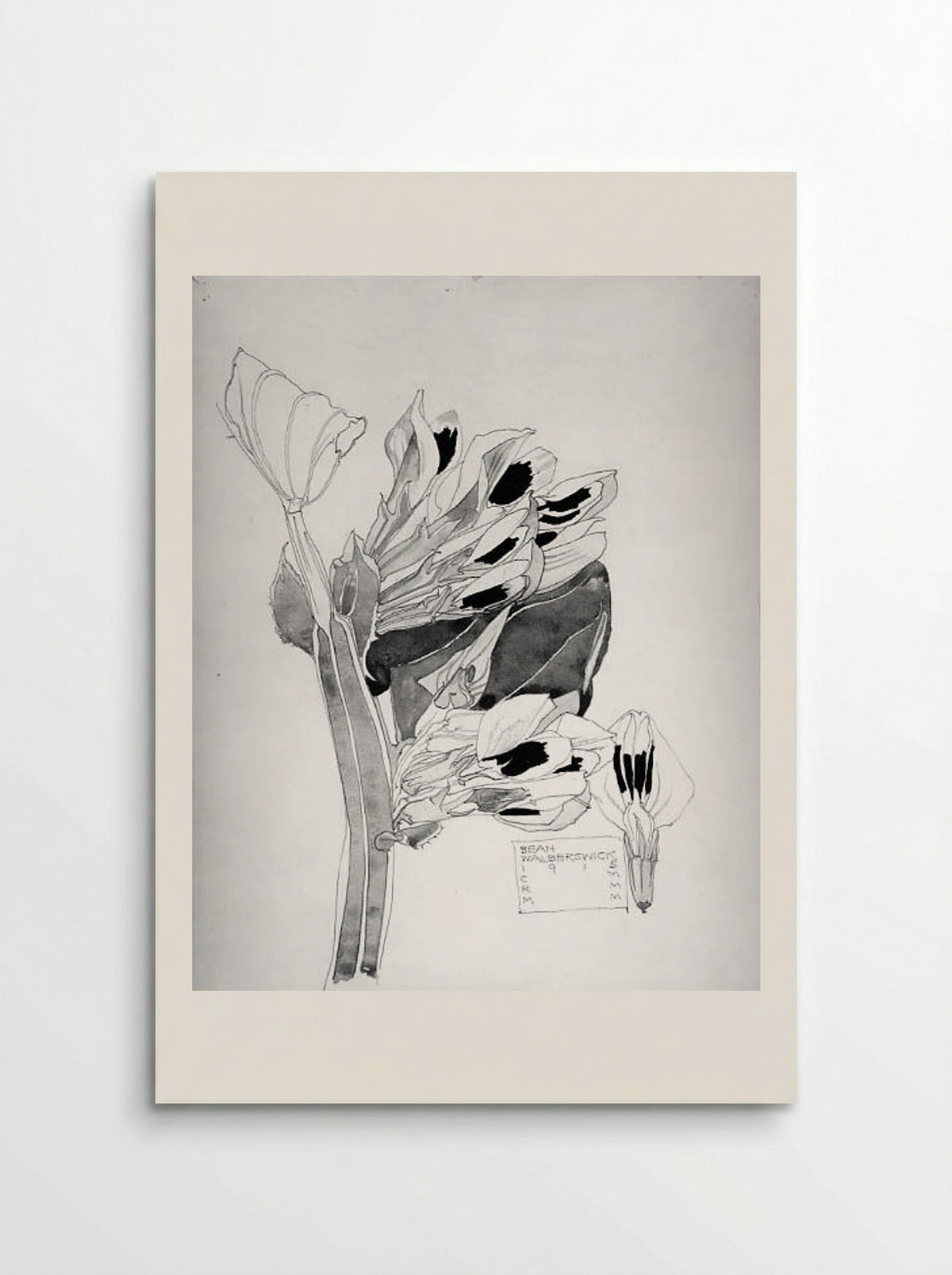 Black Bean, Walberswick - Charles Rennie Mackintosh - Poster
