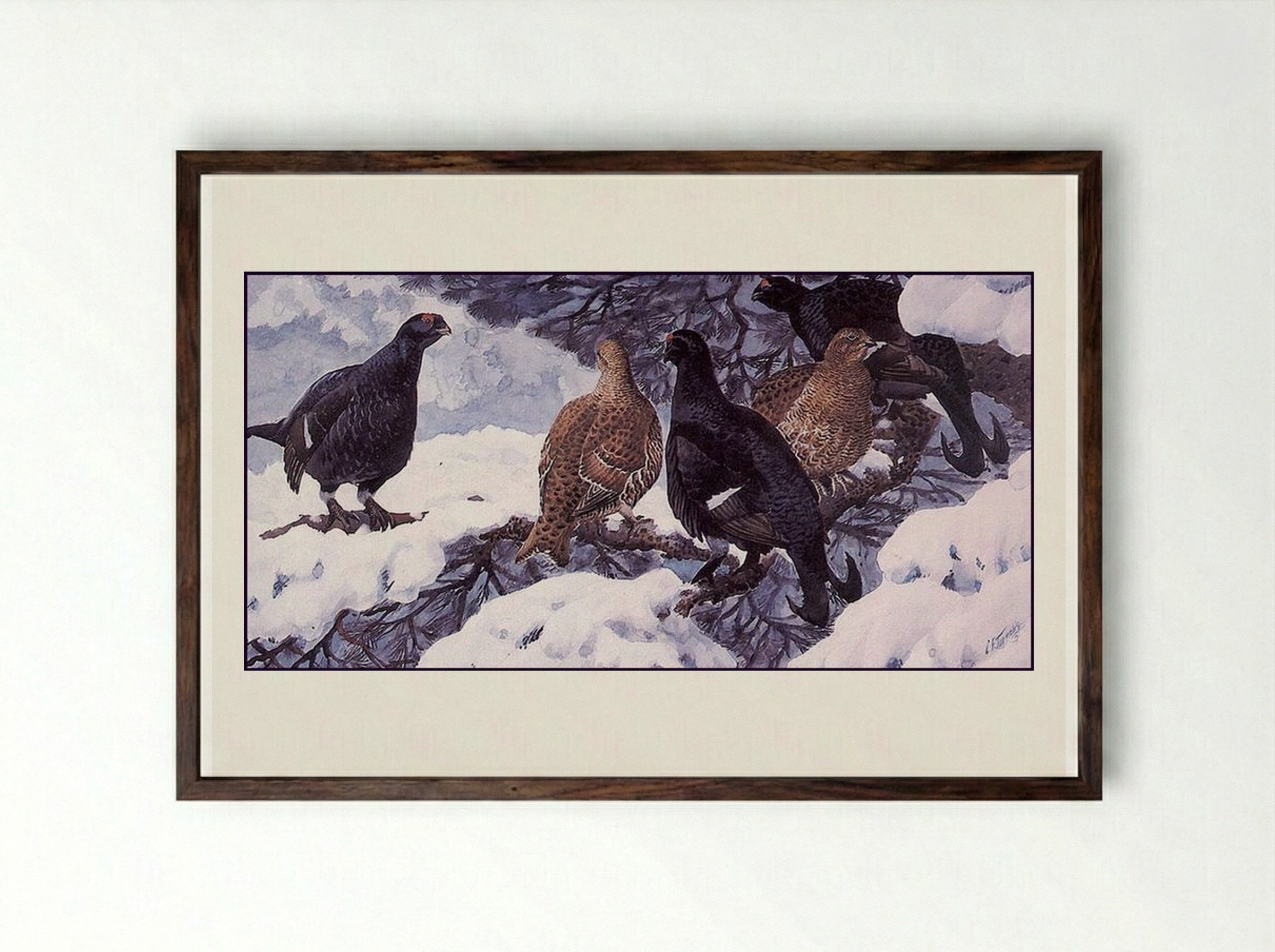 Black Grouse - Charles Tunnicliffe - Framed Print Dark Wood