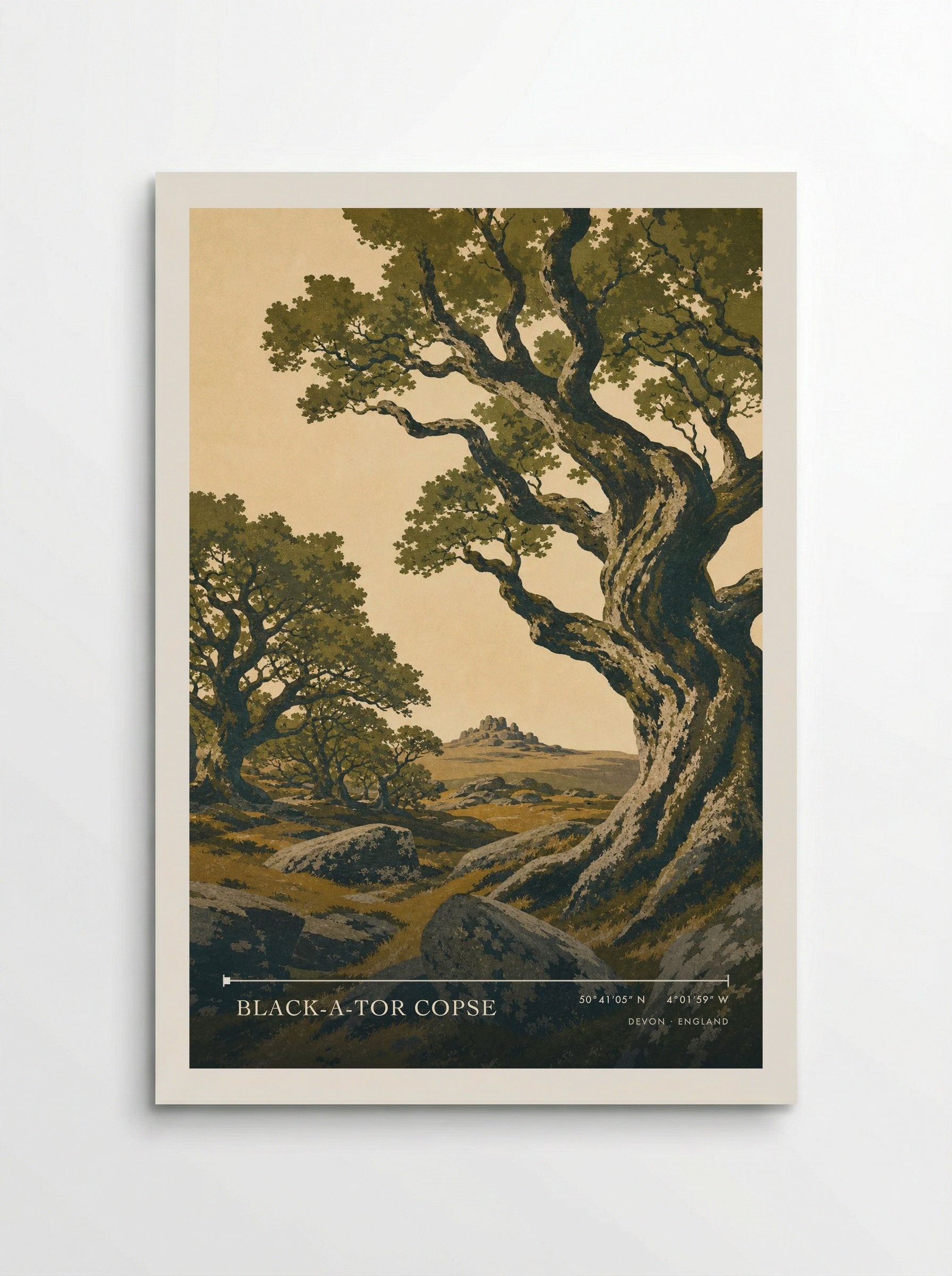 Black-a-Tor Copse Devon England Travel Poster - Poster