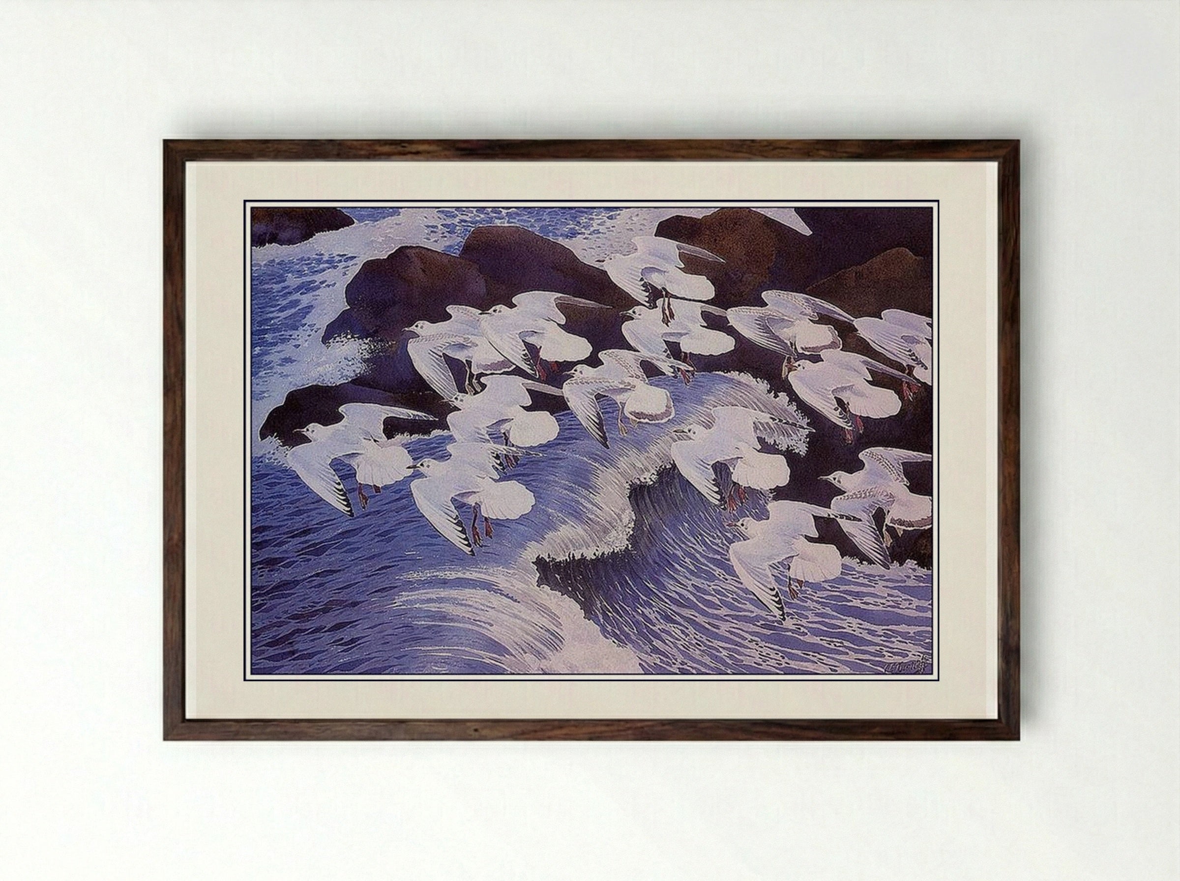 Black-headed Gulls - Charles Tunnicliffe - Framed Print Dark Wood