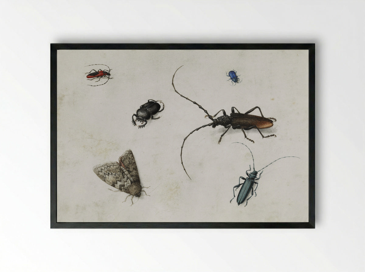 Blad met zes kevers - Pieter Holsteyn (I) - Framed Print Black