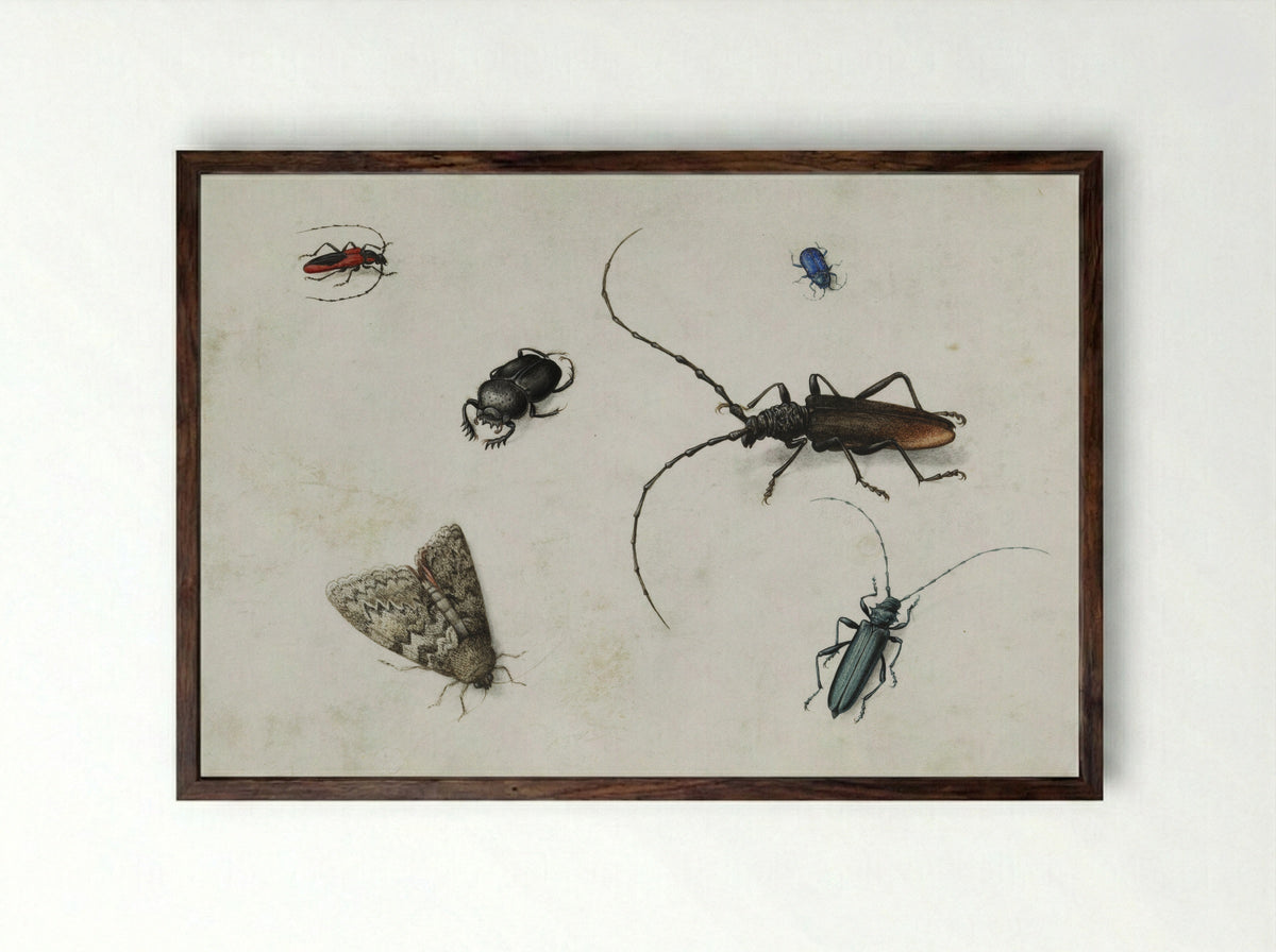 Blad met zes kevers - Pieter Holsteyn (I) - Framed Print Dark Wood