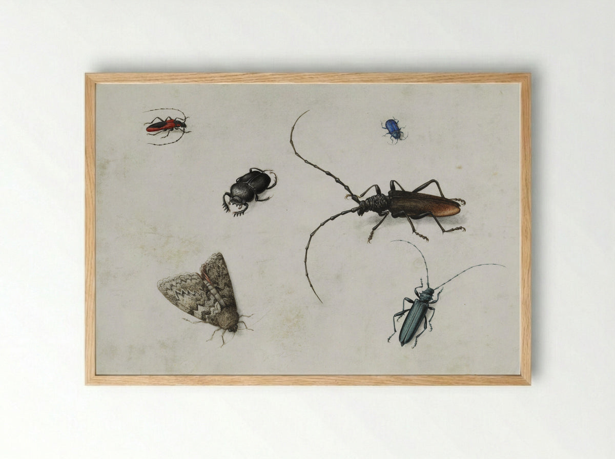 Blad met zes kevers - Pieter Holsteyn (I) - Framed Print Wood