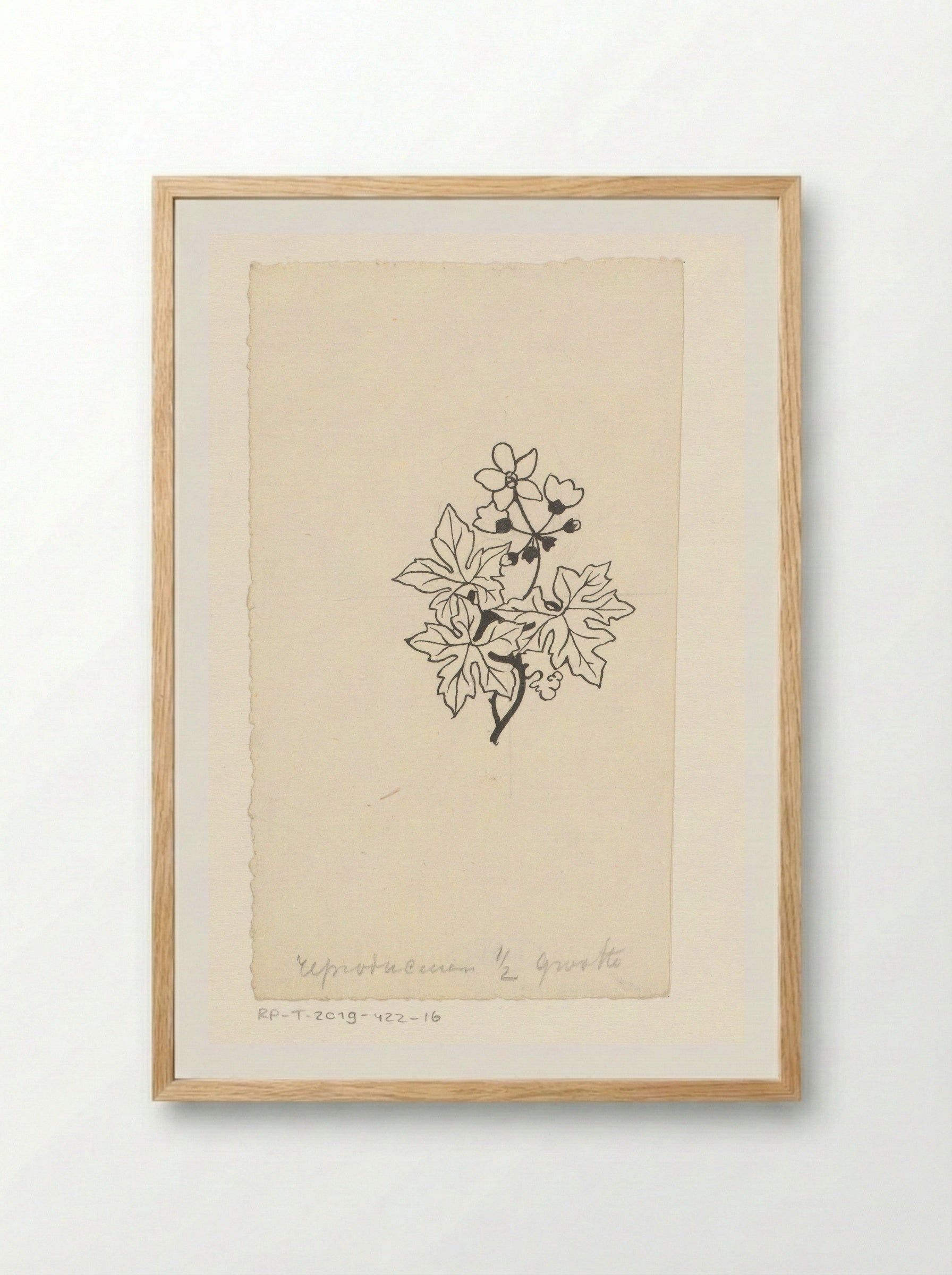 Bladeren en bloemen - Willem Wenckebach - Framed Print Wood