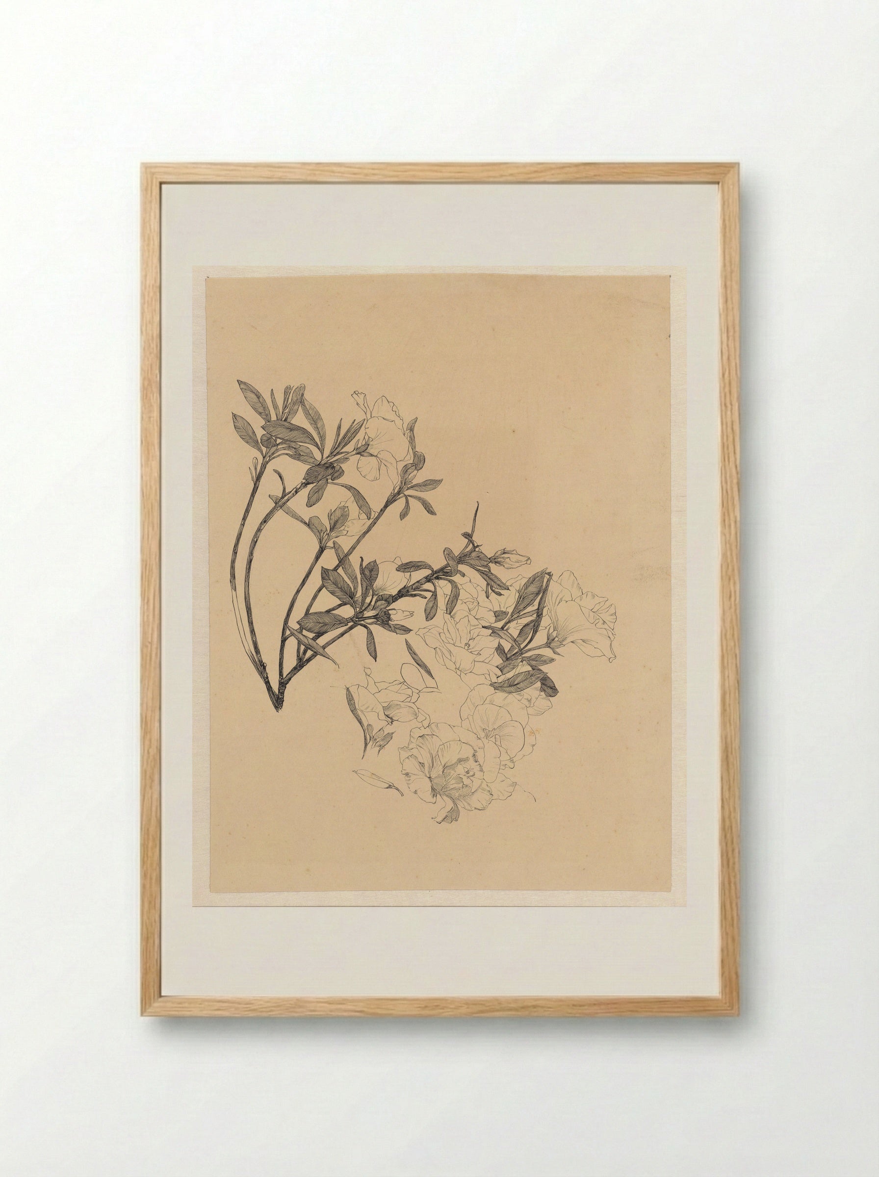 Bloeiende Azalea-takjes - Johanna Quirina van Regteren Altena - Framed Print Wood