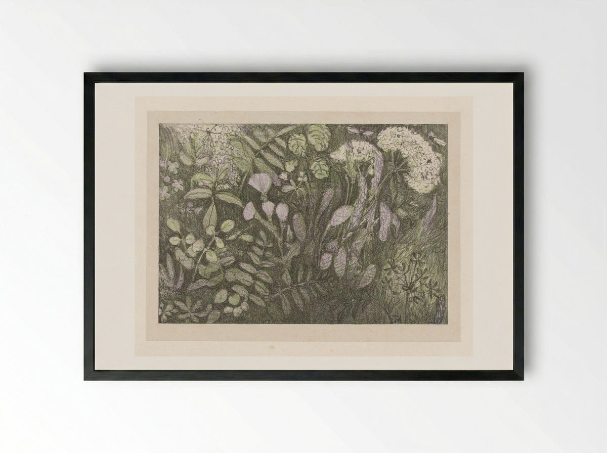 Bloemen en planten - Theo van Hoytema - Framed Print Black