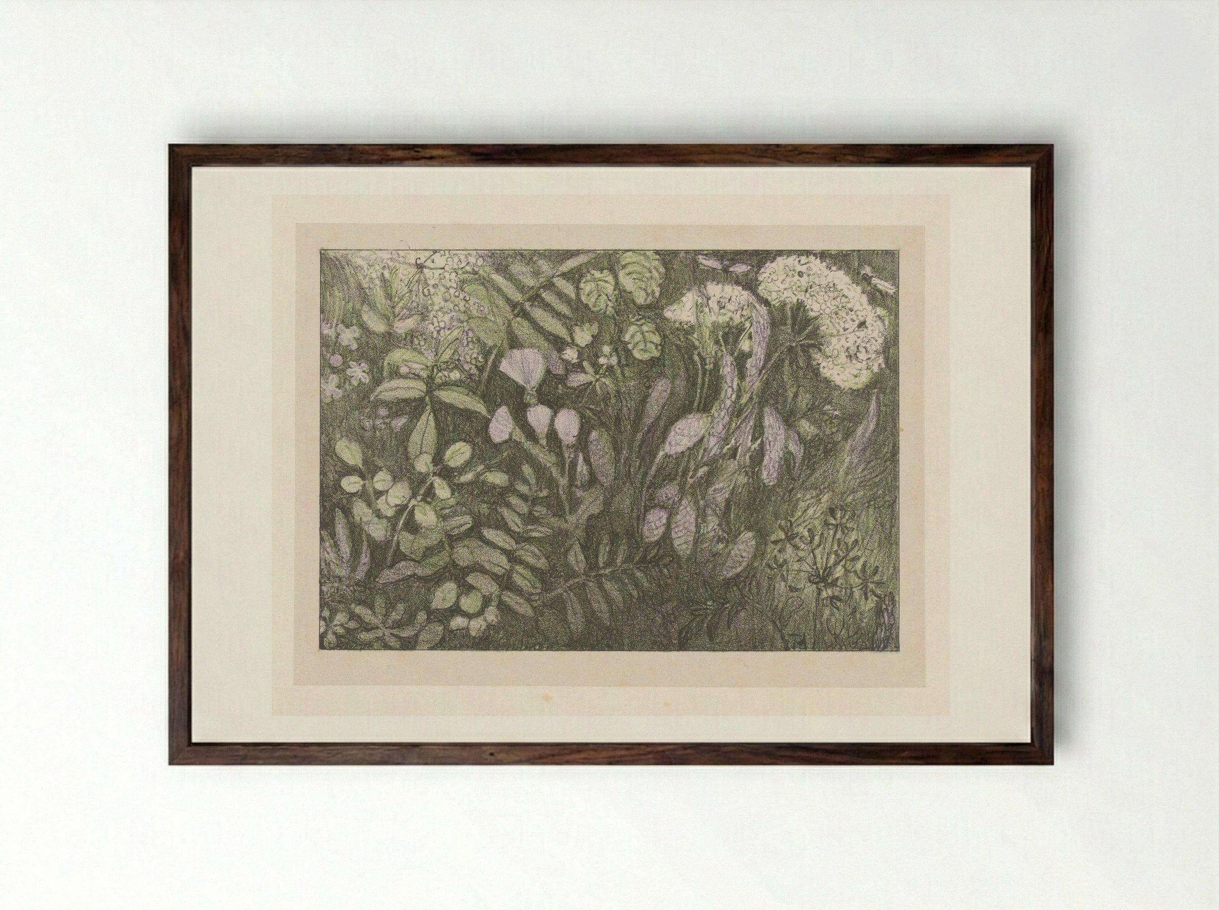 Bloemen en planten - Theo van Hoytema - Framed Print Dark Wood