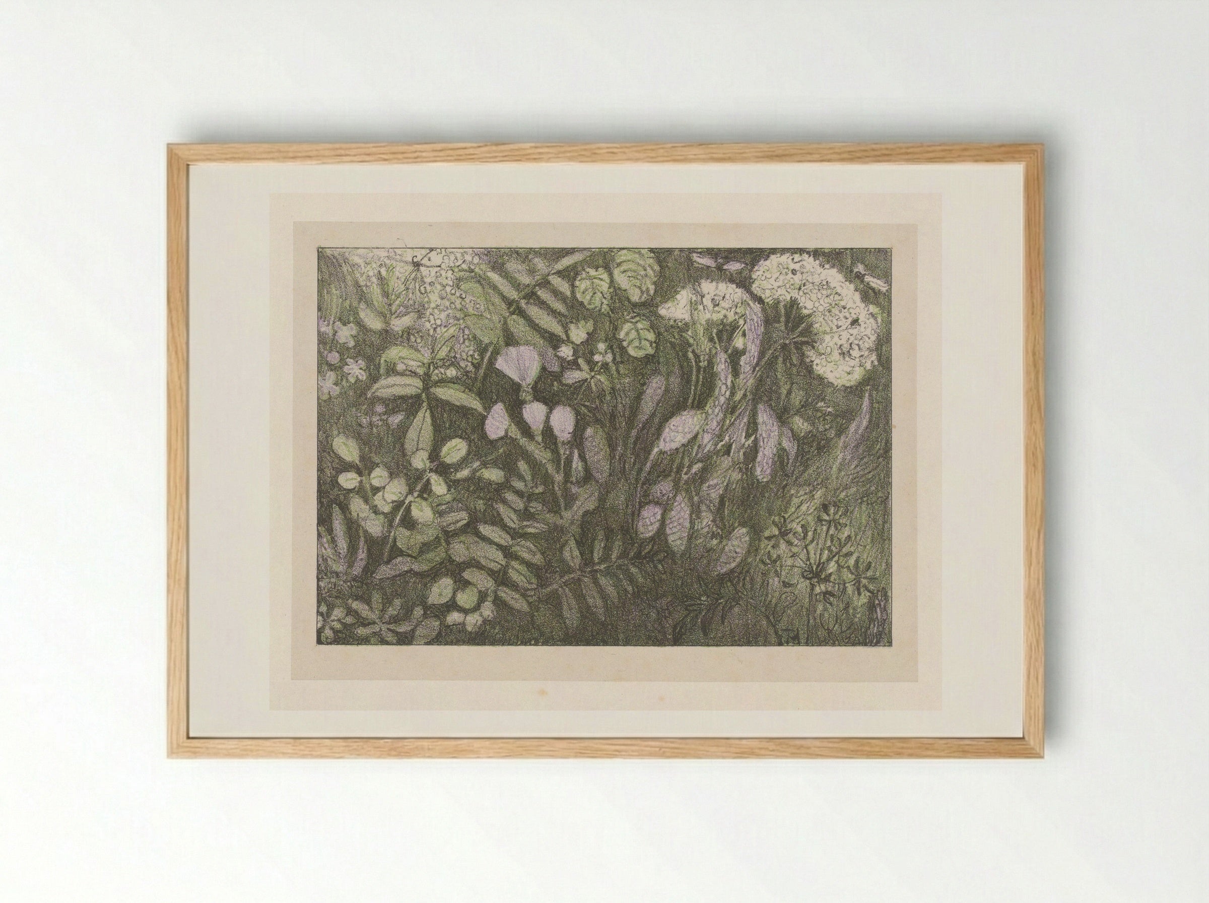 Bloemen en planten - Theo van Hoytema - Framed Print Wood