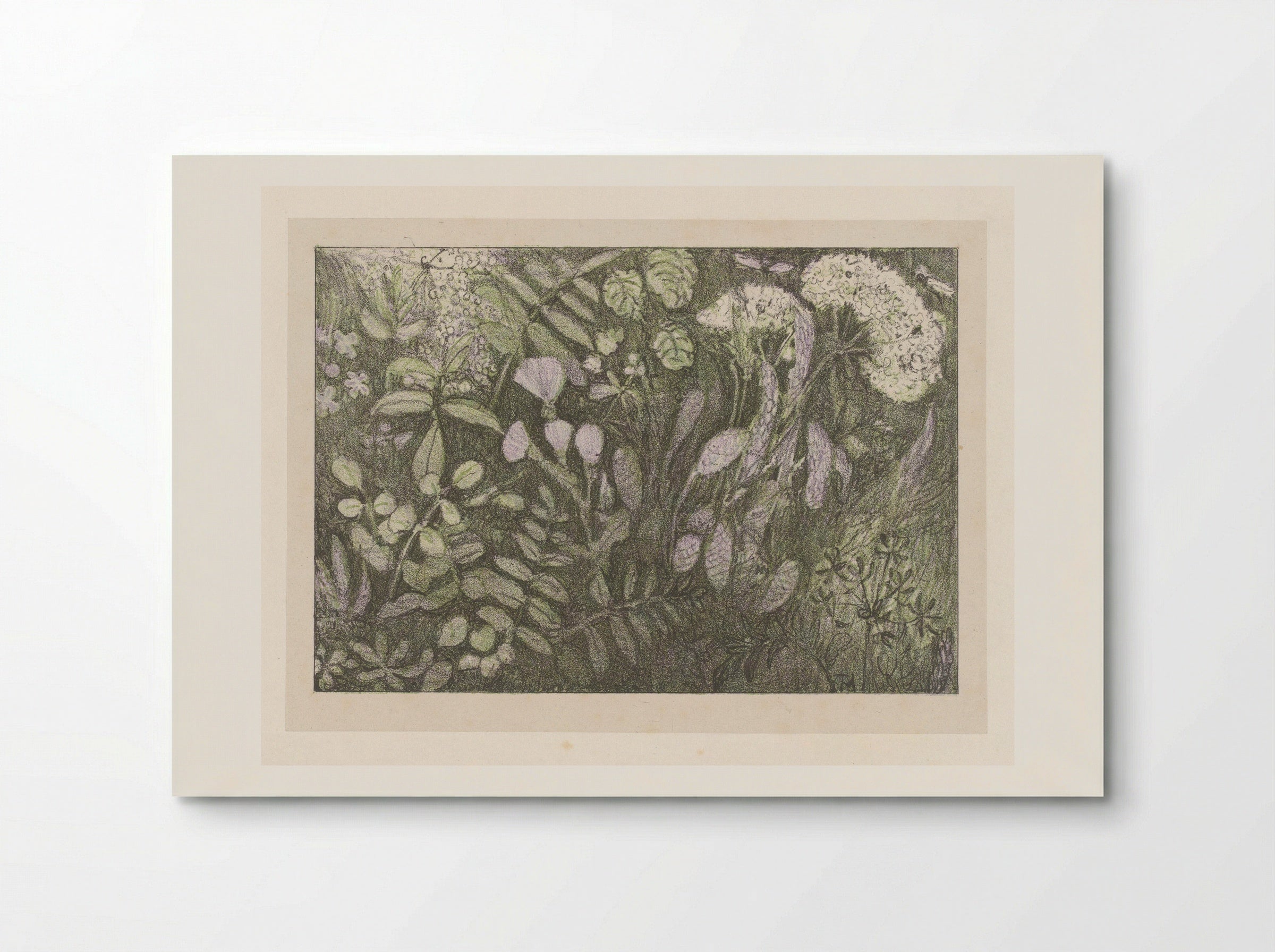 Bloemen en planten - Theo van Hoytema - Poster