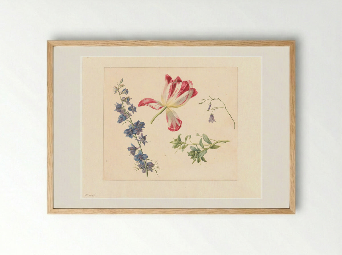 Bloemstudies - Albertus Jonas Brandt - Framed Print Wood