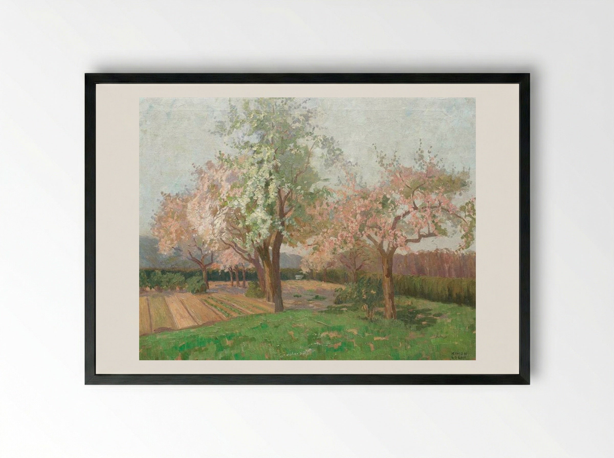 Blooming Cherry Trees - Kimon Loghi - Framed Print Black