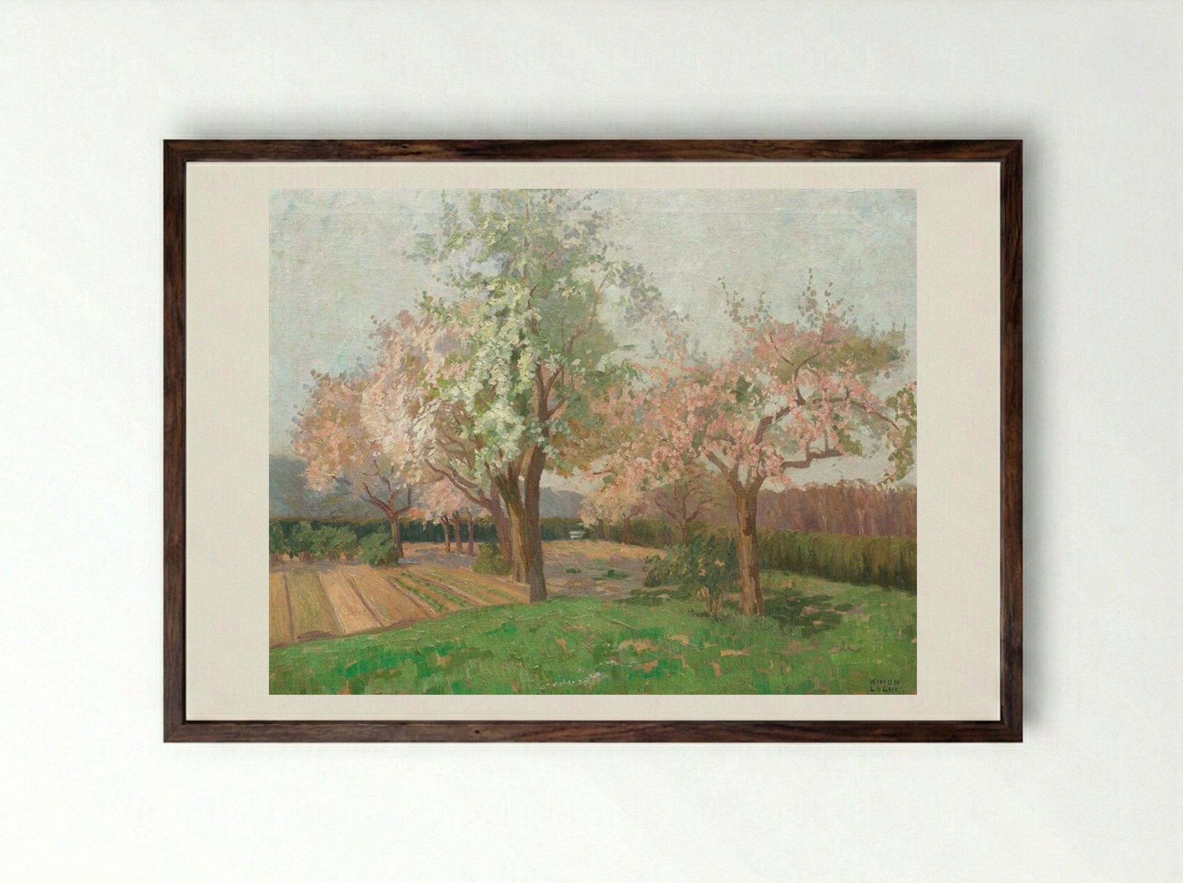 Blooming Cherry Trees - Kimon Loghi - Framed Print Dark Wood