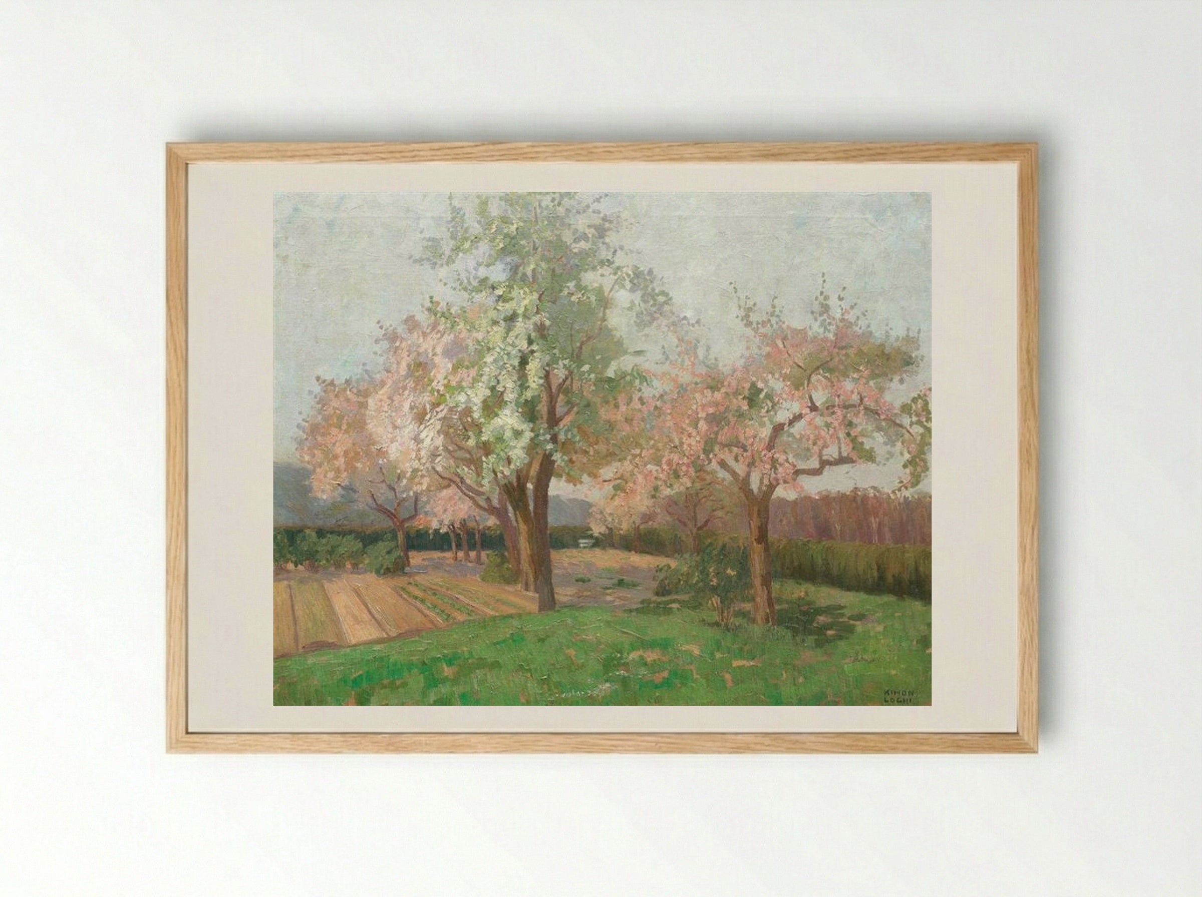 Blooming Cherry Trees - Kimon Loghi - Framed Print Wood