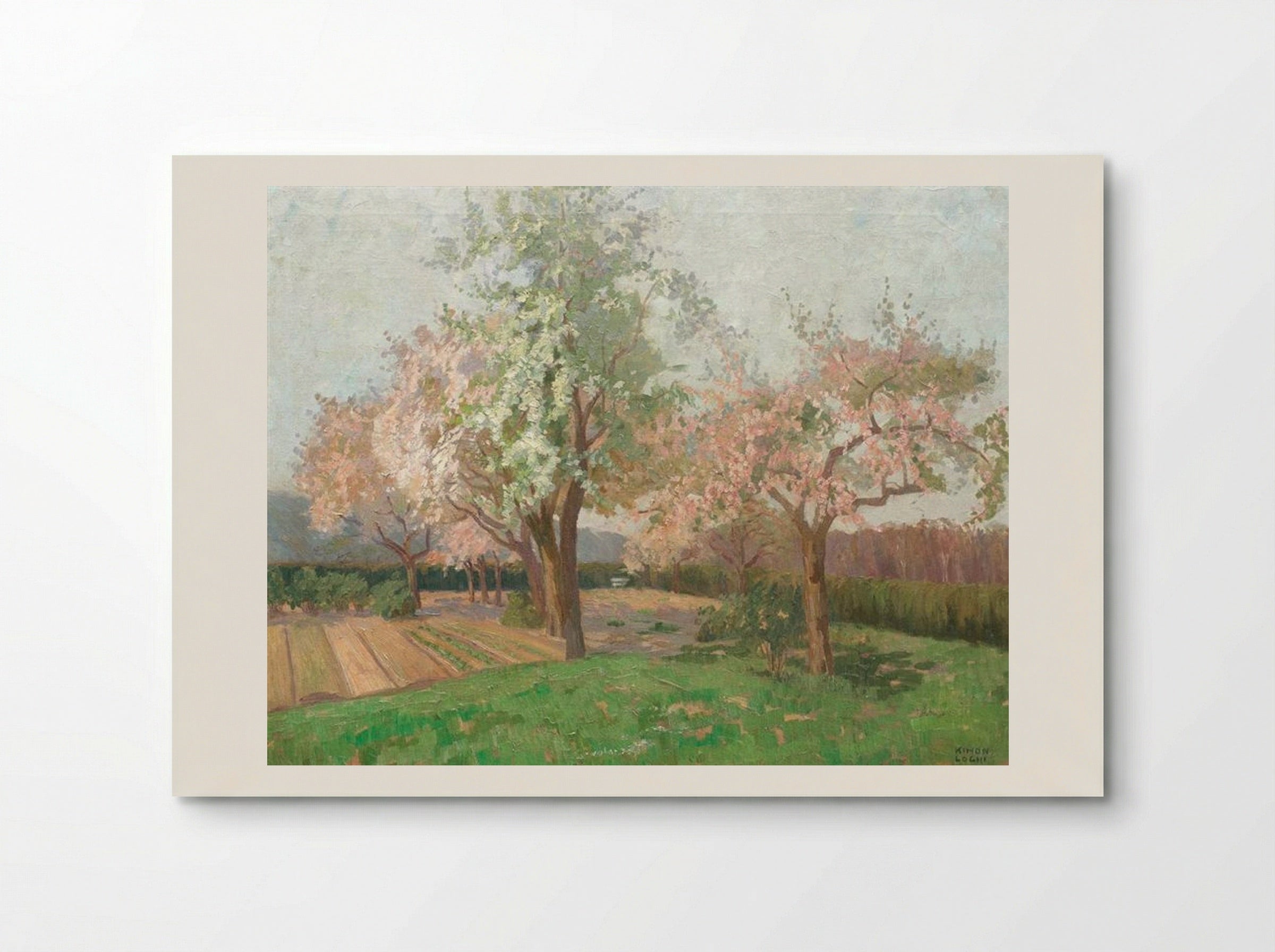 Blooming Cherry Trees - Kimon Loghi - Poster