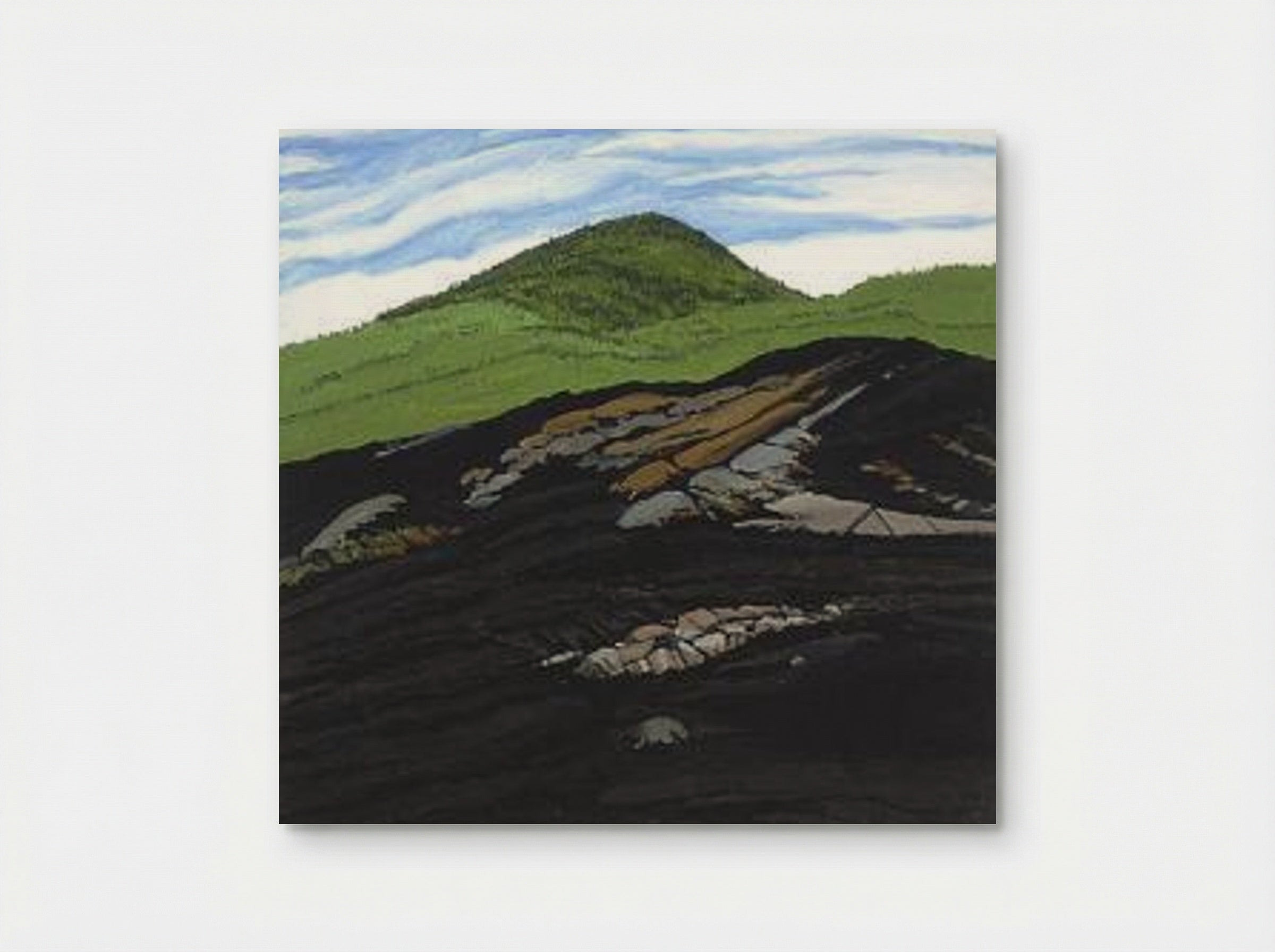 Blueberry Burn Morey's Hill - Neil Welliver - Poster