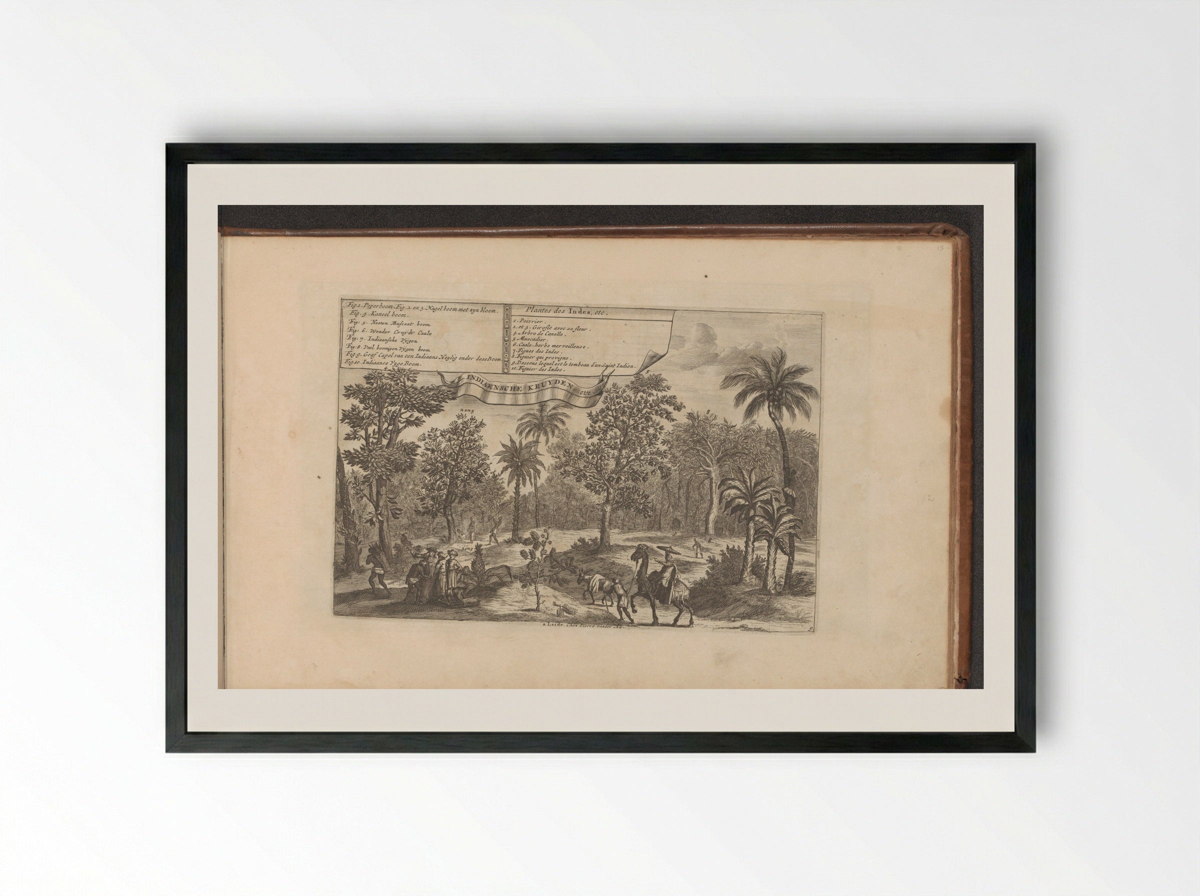 Bomen en specerijen - Romeyn de Hooghe - Framed Print Black
