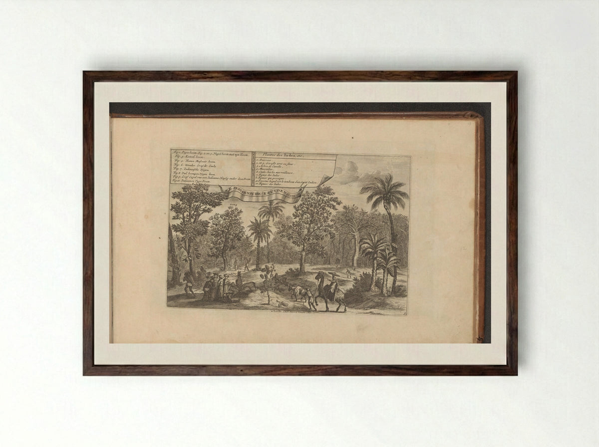 Bomen en specerijen - Romeyn de Hooghe - Framed Print Dark Wood