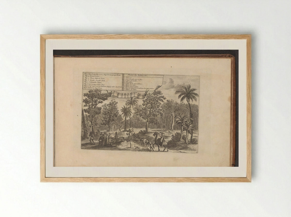 Bomen en specerijen - Romeyn de Hooghe - Framed Print Wood
