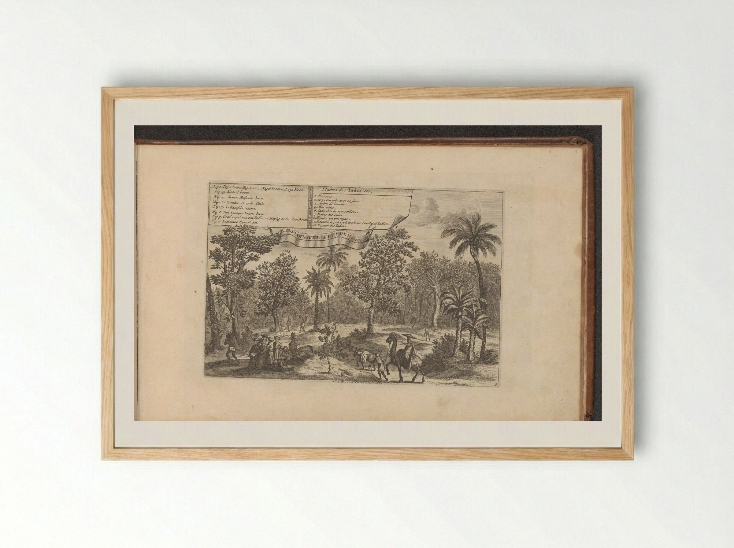 Bomen en specerijen - Romeyn de Hooghe - Framed Print Wood