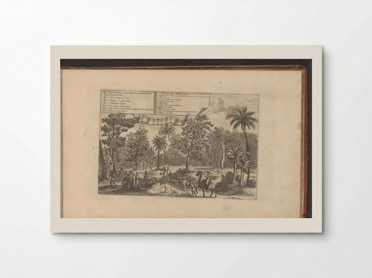Bomen en specerijen - Romeyn de Hooghe - Poster
