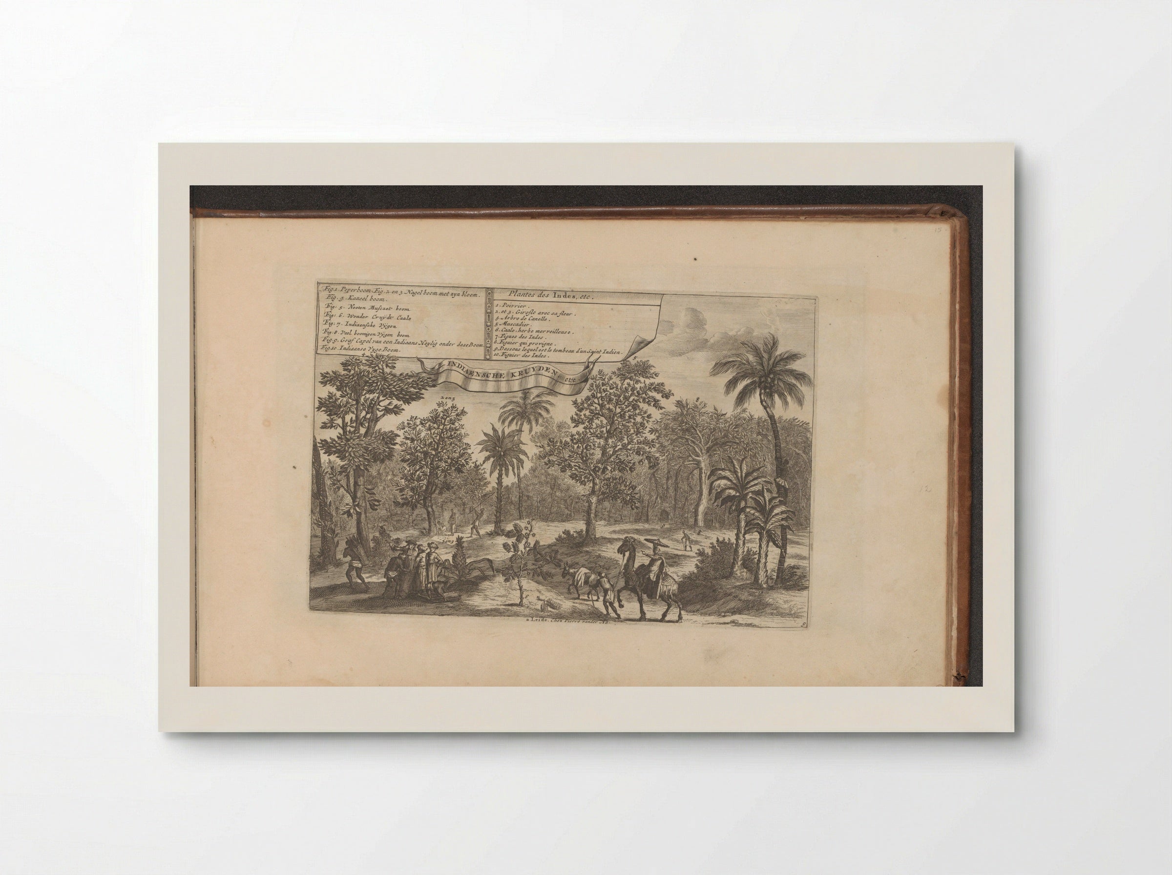 Bomen en specerijen - Romeyn de Hooghe - Poster