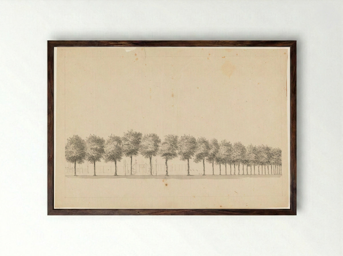 Bomenallee te Batavia - Jan Brandes - Framed Print Dark Wood