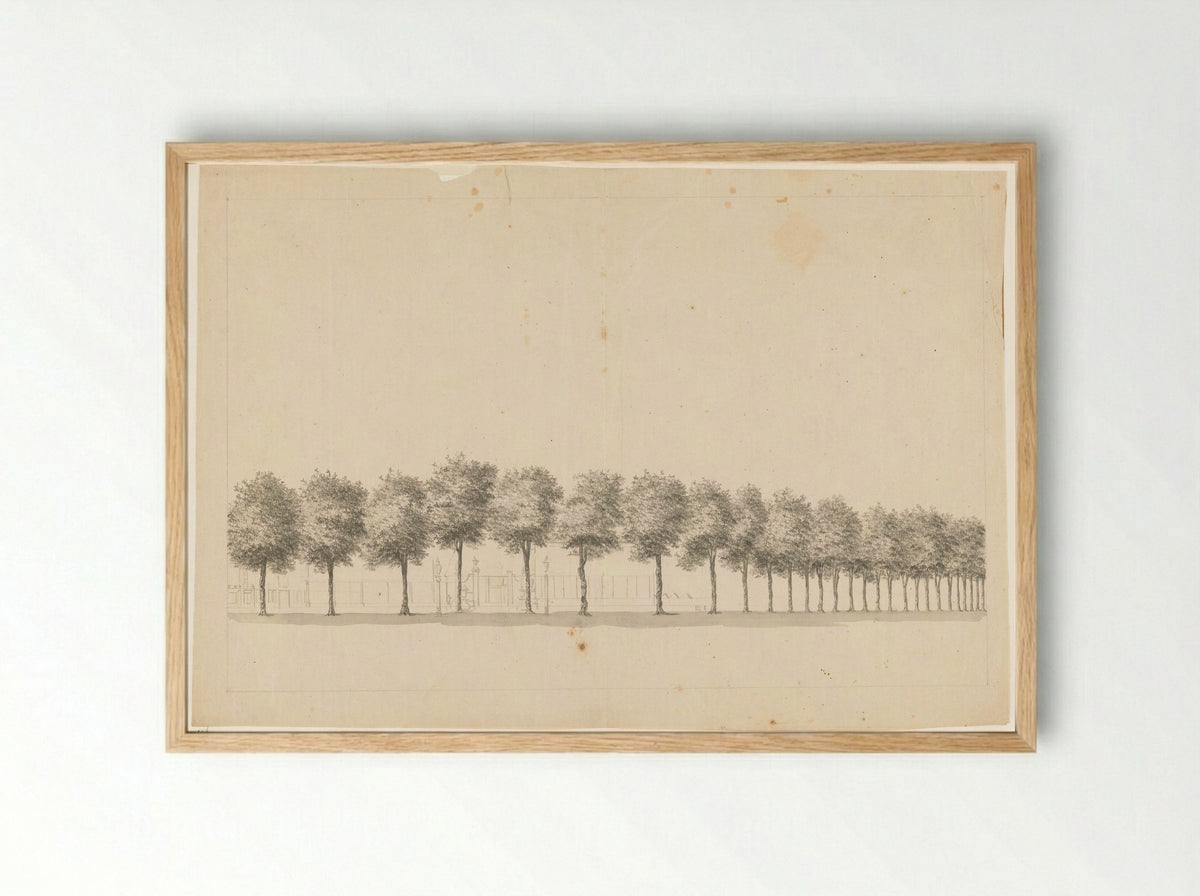 Bomenallee te Batavia - Jan Brandes - Framed Print Wood
