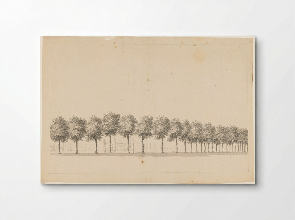 Bomenallee te Batavia - Jan Brandes - Poster