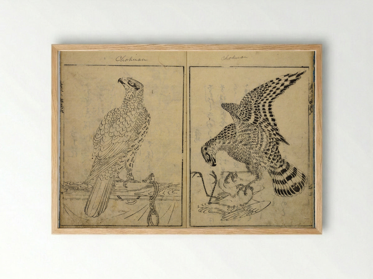 Book of Famous Japanese and Chinese Paintings - Ooka Shunboku - Framed Print Wood