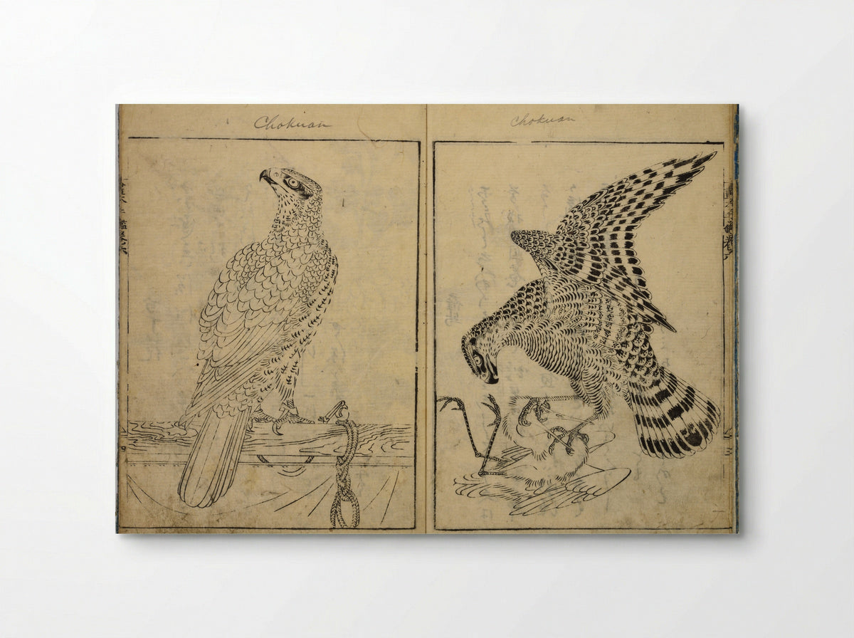 Book of Famous Japanese and Chinese Paintings - Ooka Shunboku - Poster