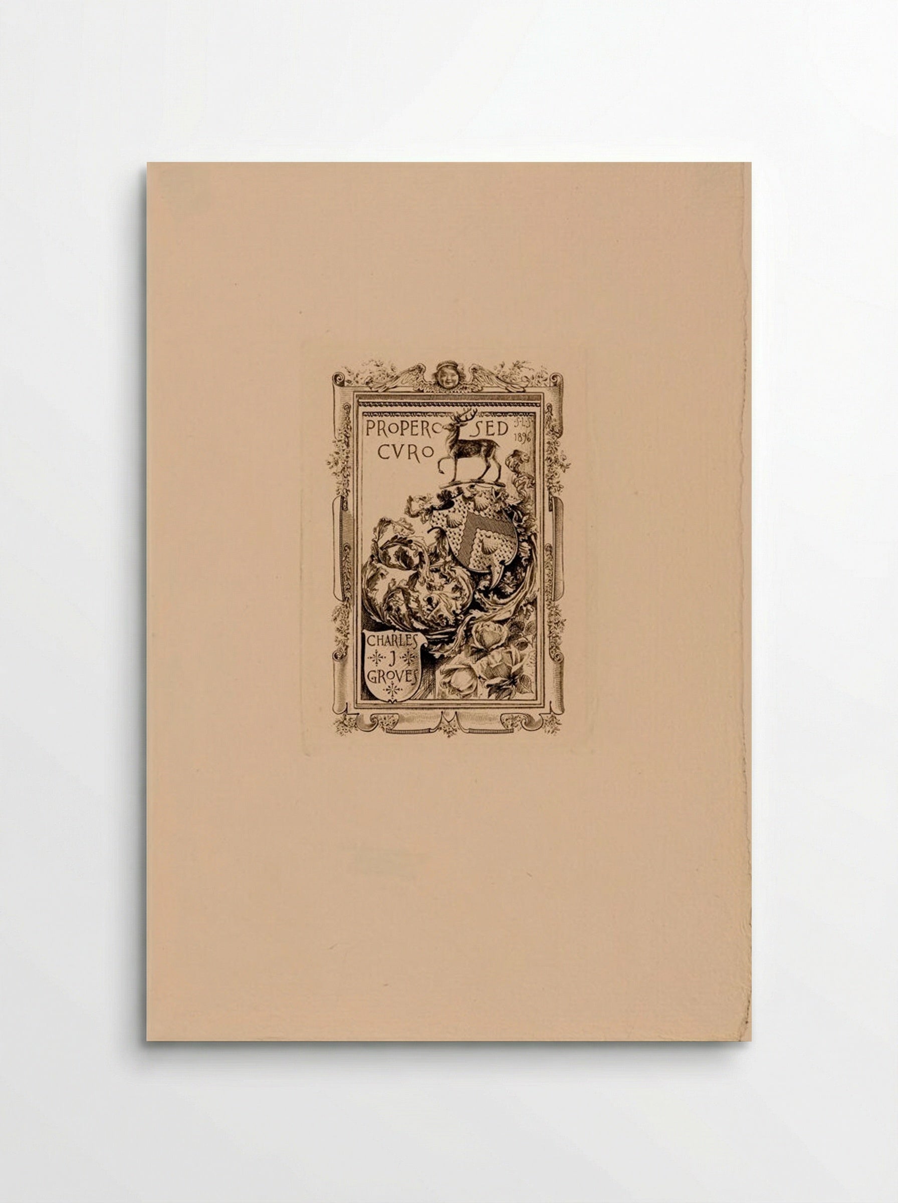 Bookplate of Charles J. Groves - Sidney L. Smith - Poster