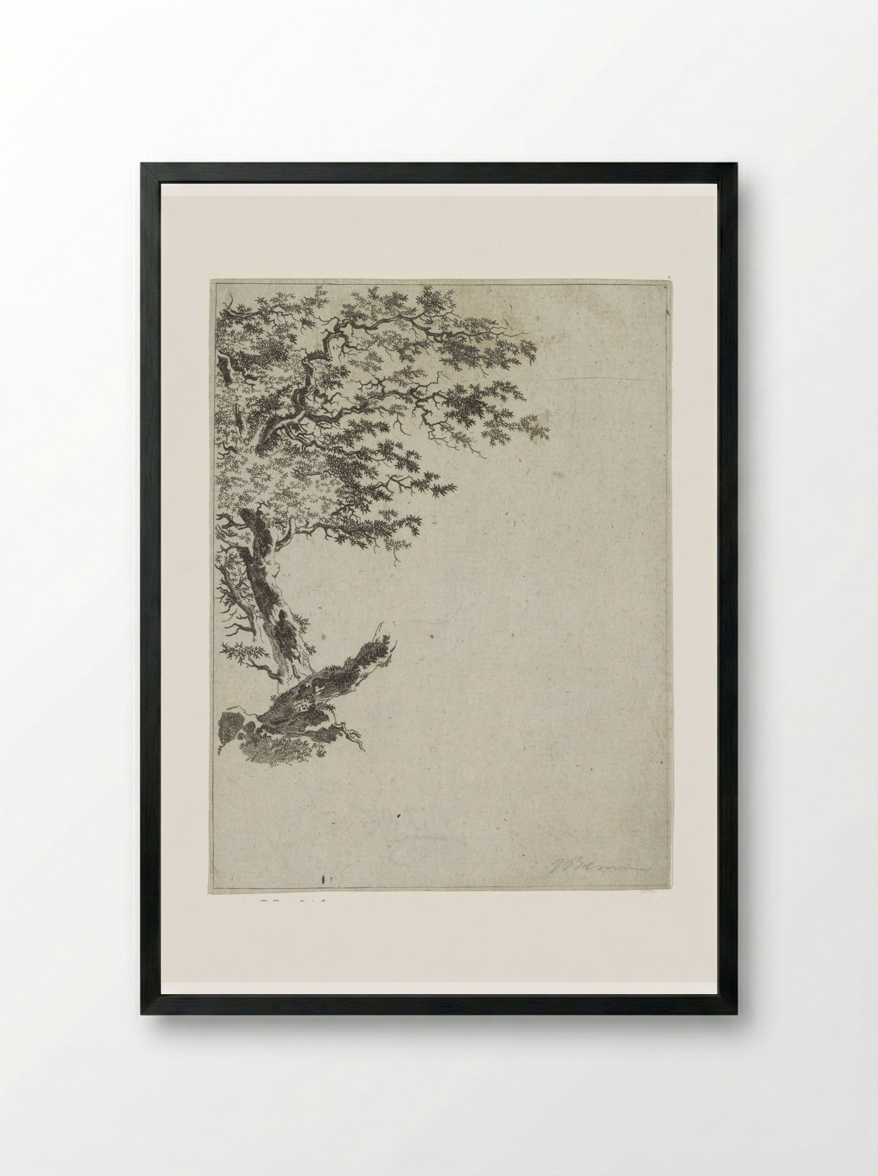 Boomstudie (Tree Study) - Joannes Bemme - Framed Print Black