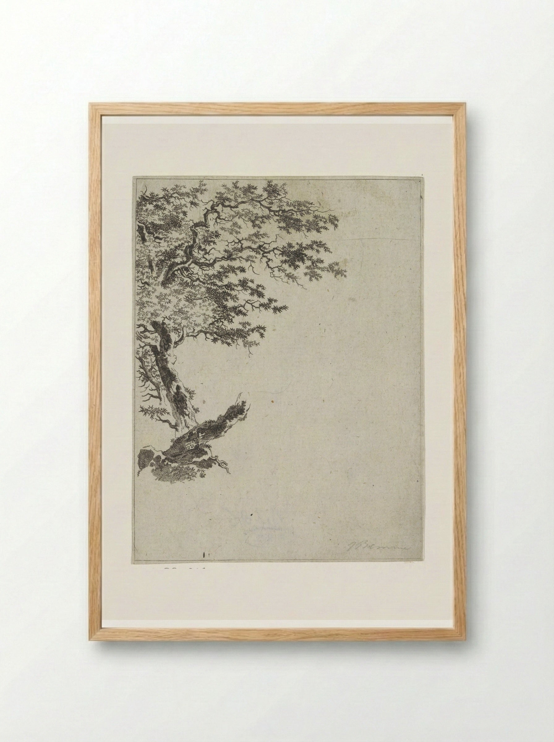 Boomstudie (Tree Study) - Joannes Bemme - Framed Print Wood