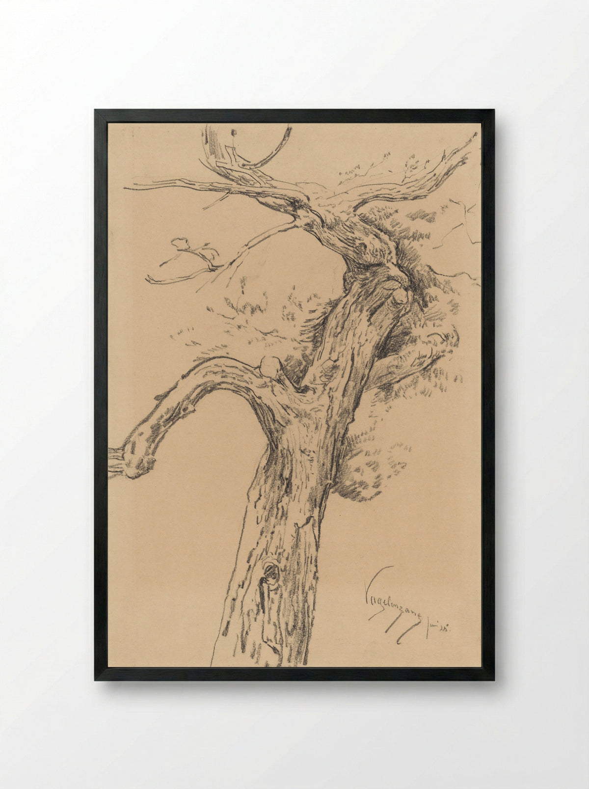 Boomstudie, te Vogelenzang - Simon Moulijn - Framed Print Black