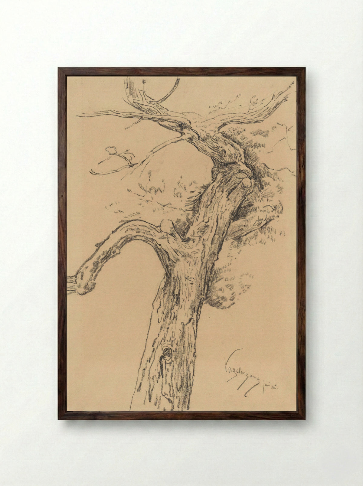 Boomstudie, te Vogelenzang - Simon Moulijn - Framed Print Dark Wood