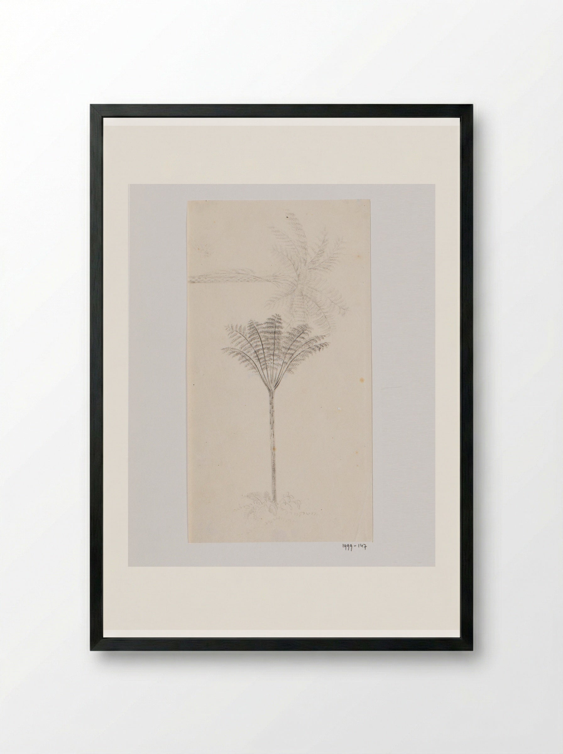 Boomvaren (Tree Fern) - Adrianus Johannes Bik - Framed Print Black
