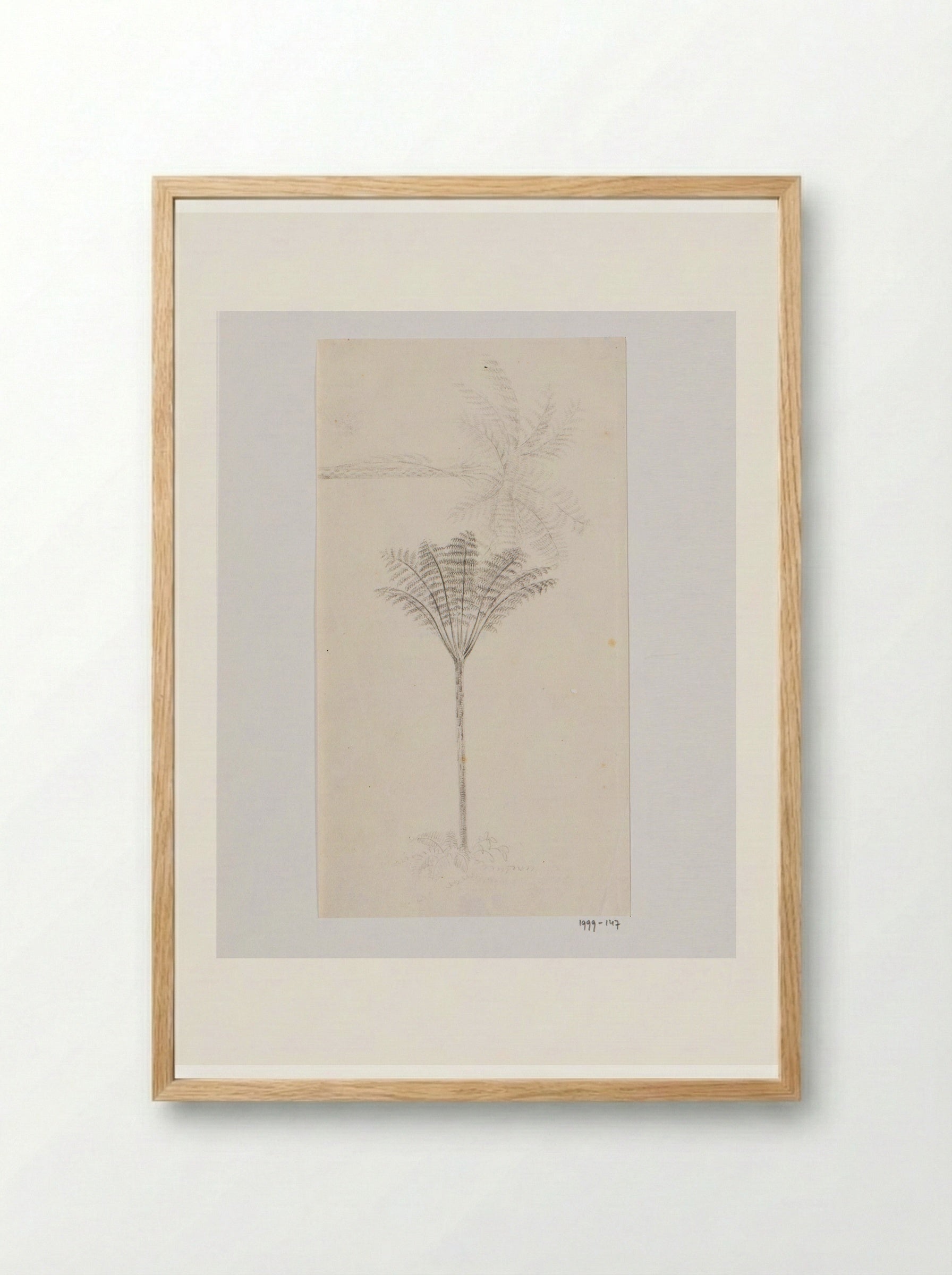 Boomvaren (Tree Fern) - Adrianus Johannes Bik - Framed Print Wood