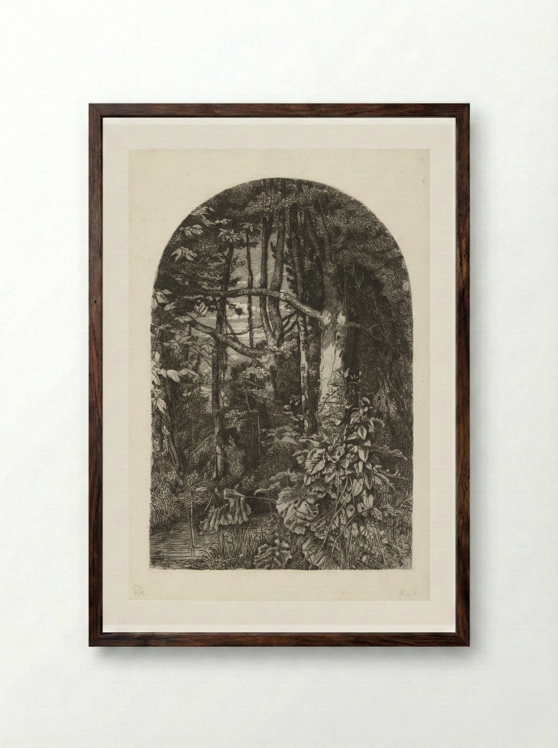 Bos met beek - Jacobus Ludovicus Cornet - Framed Print Dark Wood