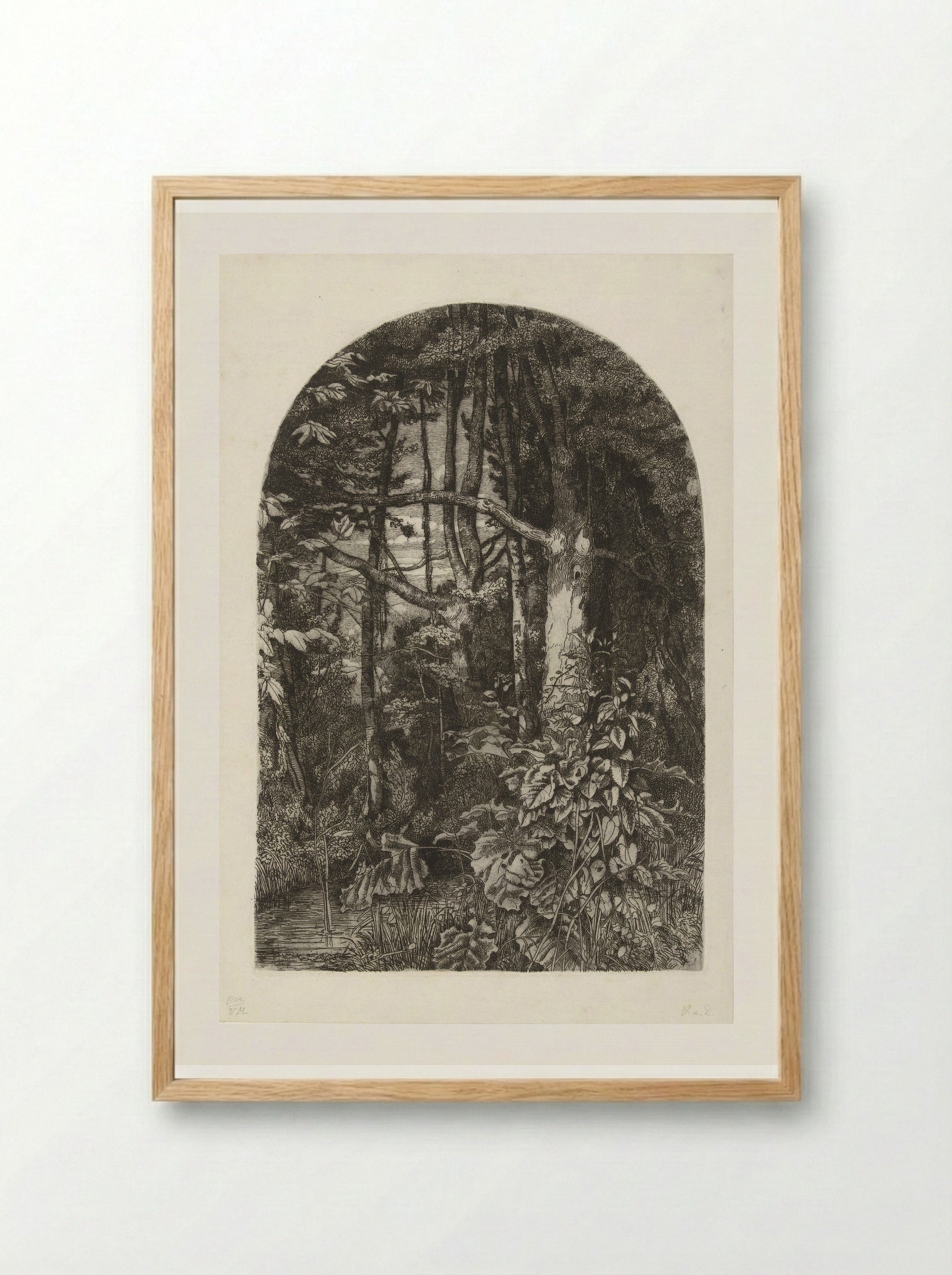 Bos met beek - Jacobus Ludovicus Cornet - Framed Print Wood