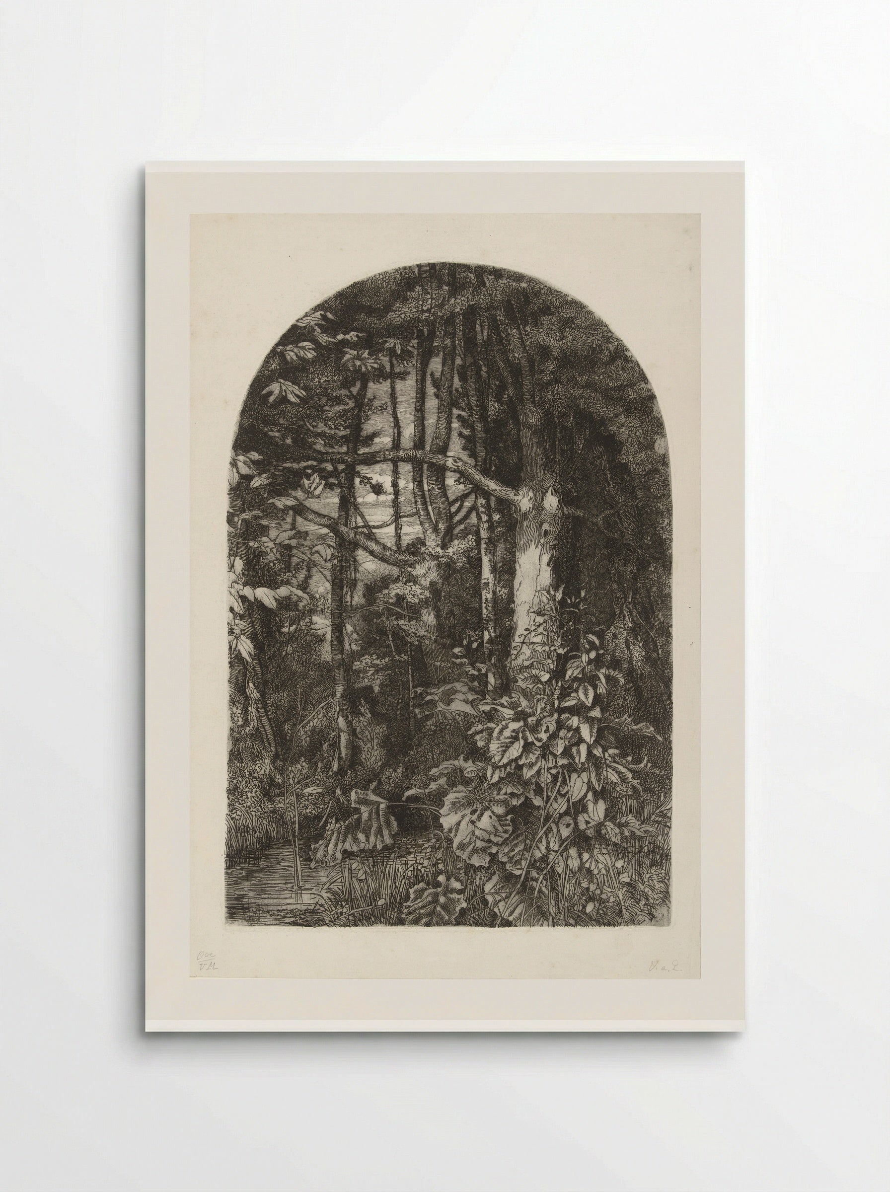 Bos met beek - Jacobus Ludovicus Cornet - Poster