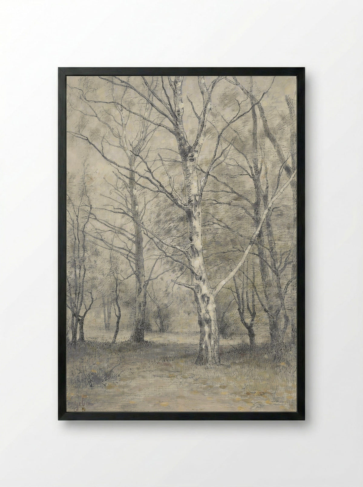Bos met berkebomen - Alphonse Stengelin - Framed Print Black