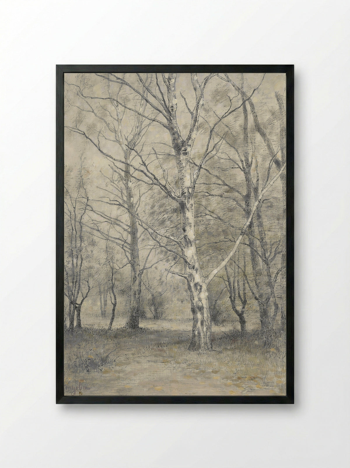 Bos met berkebomen - Alphonse Stengelin - Framed Print Black