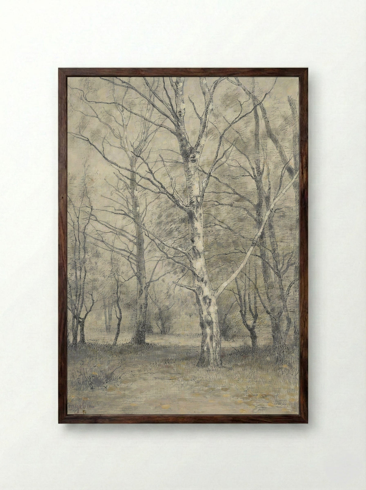 Bos met berkebomen - Alphonse Stengelin - Framed Print Dark Wood