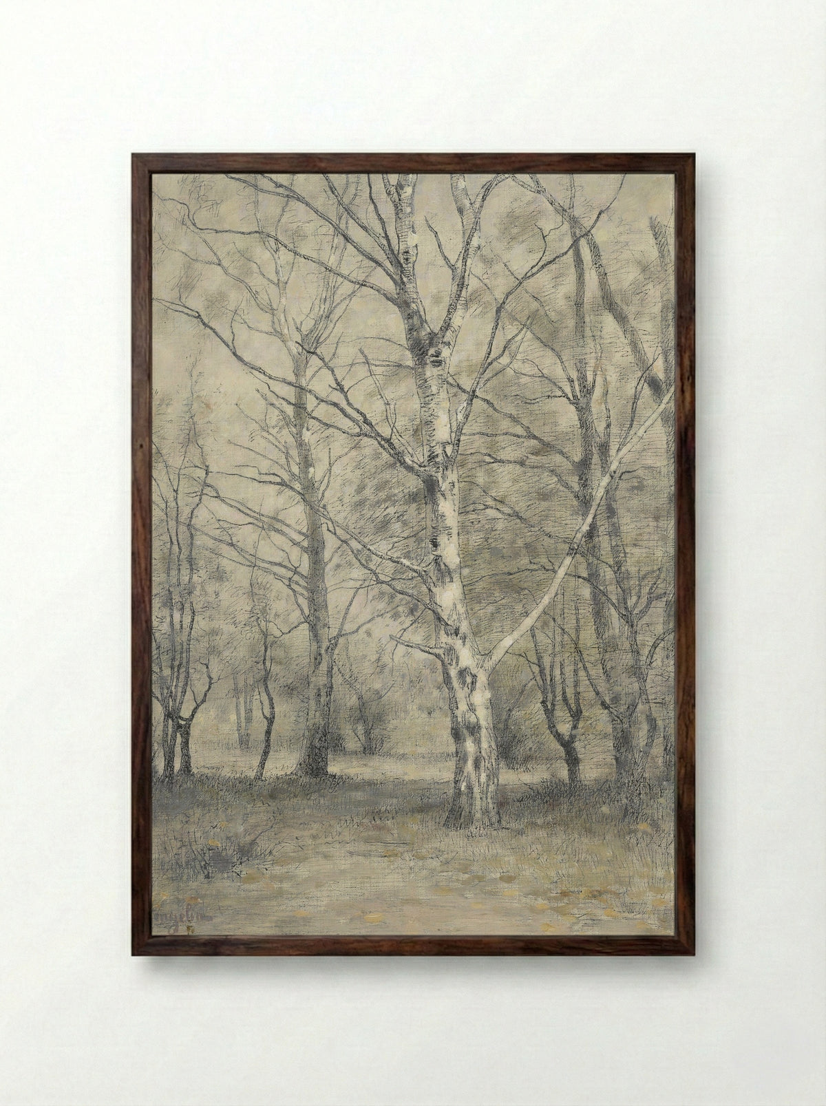 Bos met berkebomen - Alphonse Stengelin - Framed Print Dark Wood