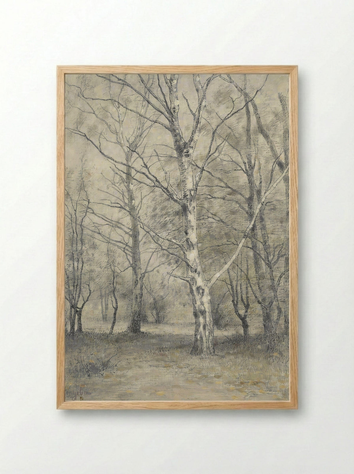 Bos met berkebomen - Alphonse Stengelin - Framed Print Wood