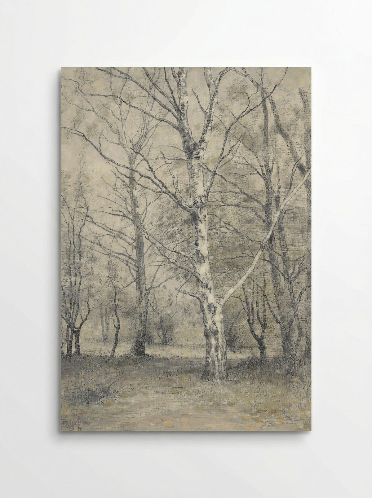 Bos met berkebomen - Alphonse Stengelin - Poster