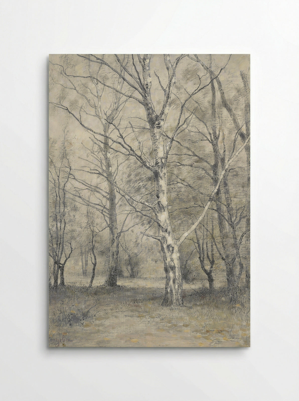 Bos met berkebomen - Alphonse Stengelin - Poster